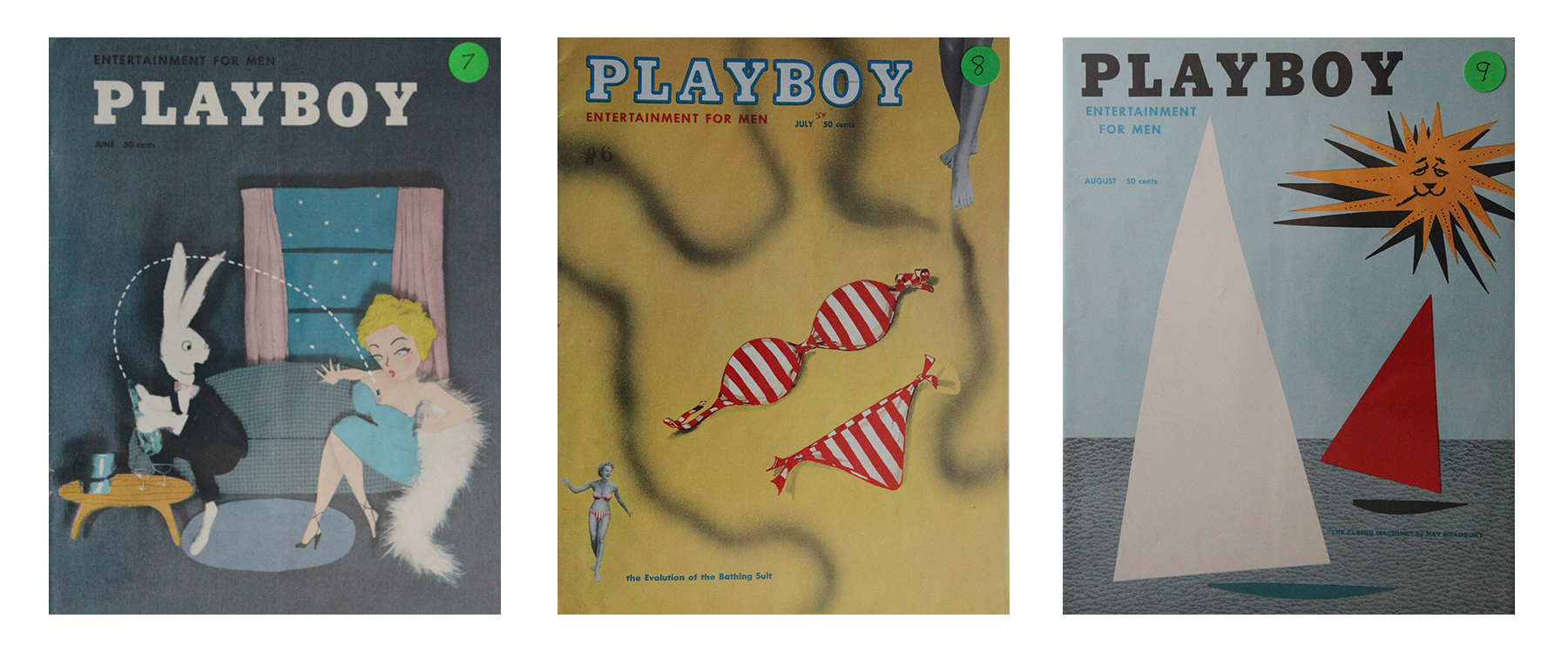 My Playboy Collection 8